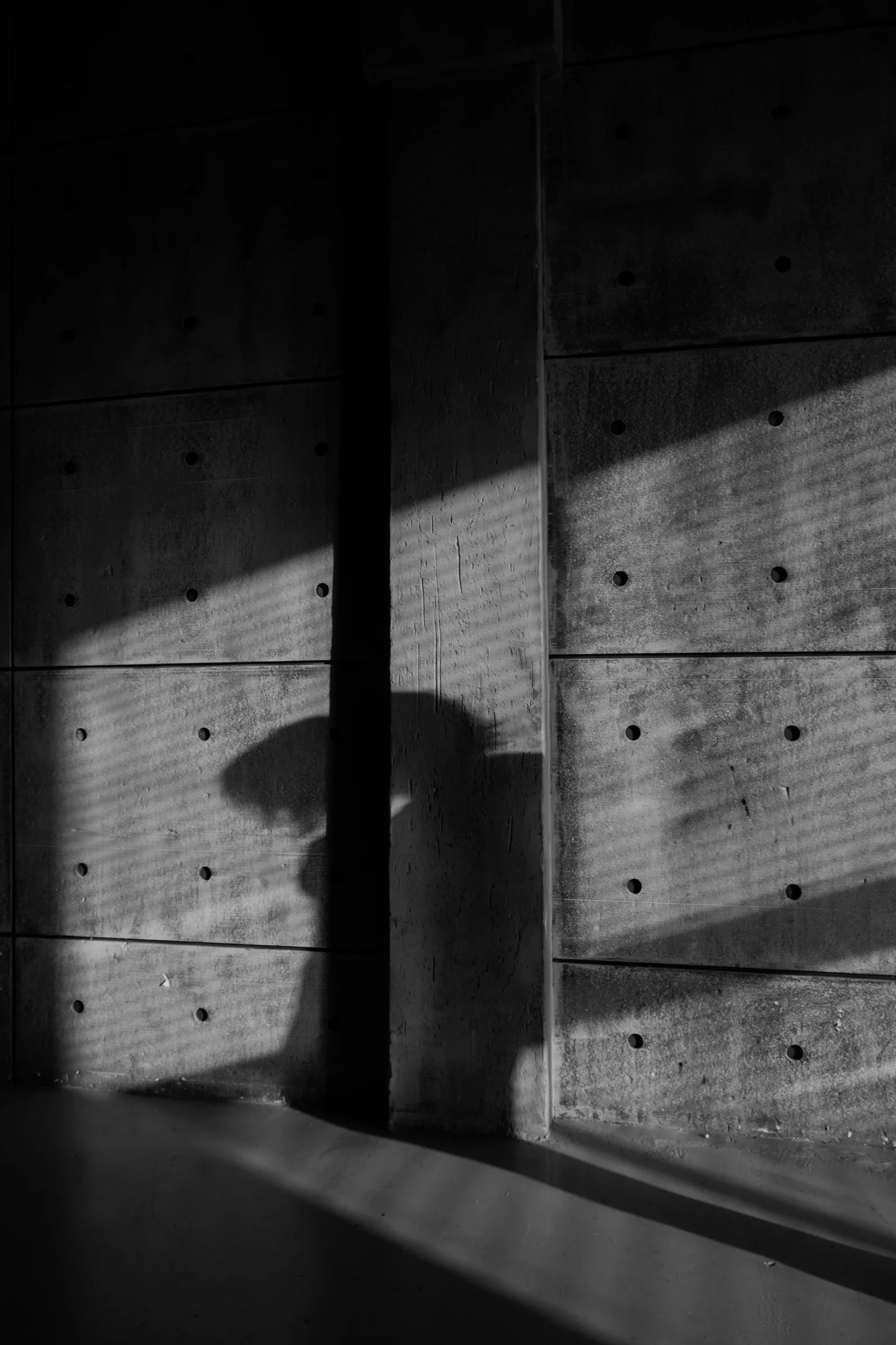 Evening shadows
